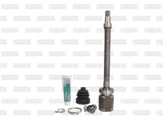 PASCAL G8G010PC Joint, drive shaft